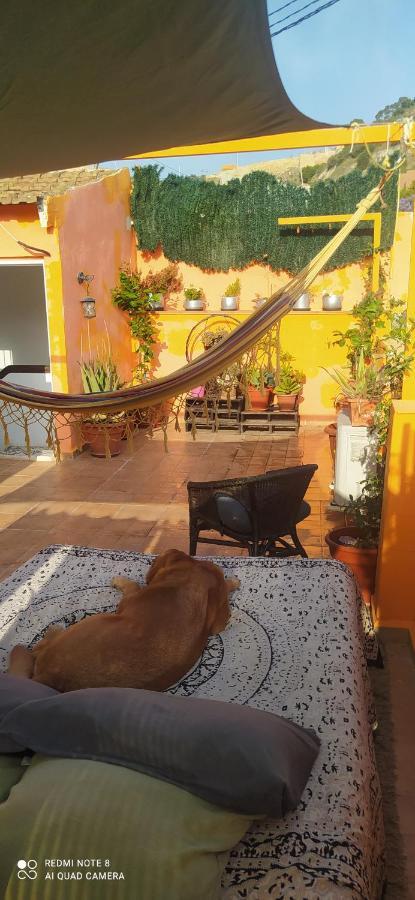La Casita De Celia Appartement Alicante Buitenkant foto